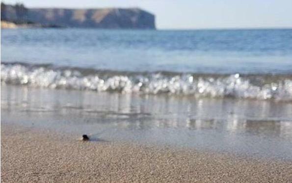 ACOGEDOR Y PRECIOSO ÁTICO EN JAVEA Primera línea playa Esterno foto